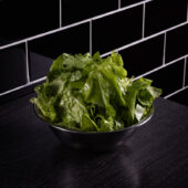 Oak Lettuce Salad